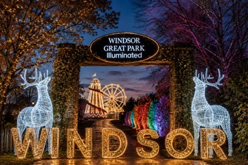 Windsor Great Park Light Trail