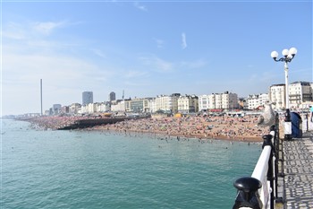 Brighton Day Trip