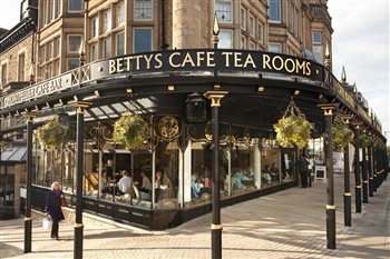 A Day Trip To Harrogate 