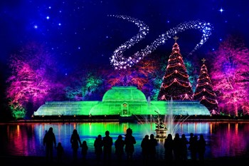 Kew At Christmas - Light Trail