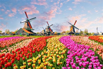 Dutch Tulips & Waterways - Fred Olsen
