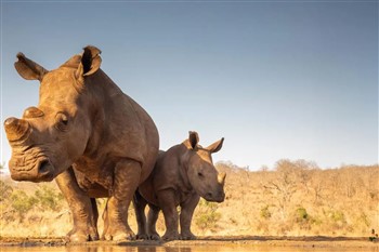 South Africa